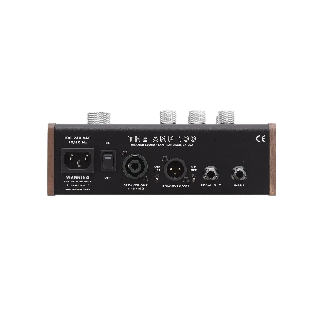 MM-AMP100-3.webp