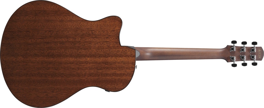Ibanez AAM300CE-NT 