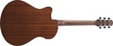 Ibanez AAM300CE-NT 