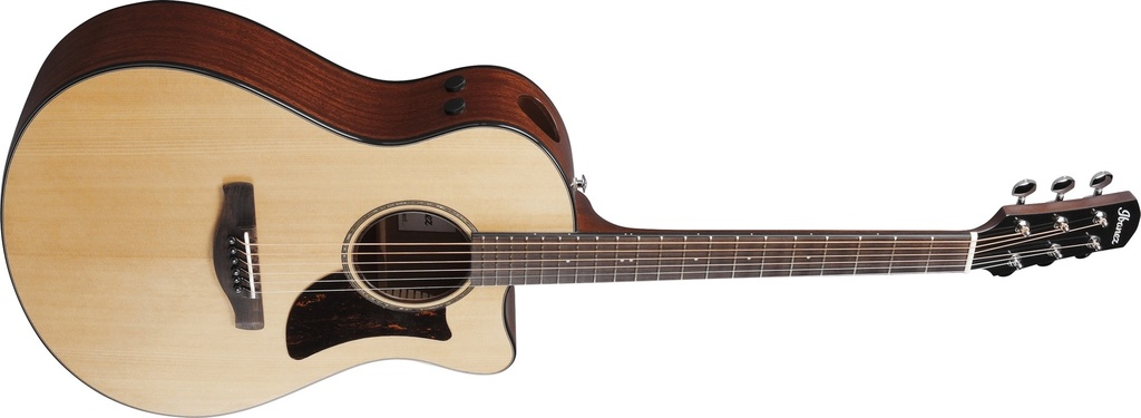Ibanez AAM300CE-NT 