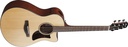 Ibanez AAM300CE-NT 