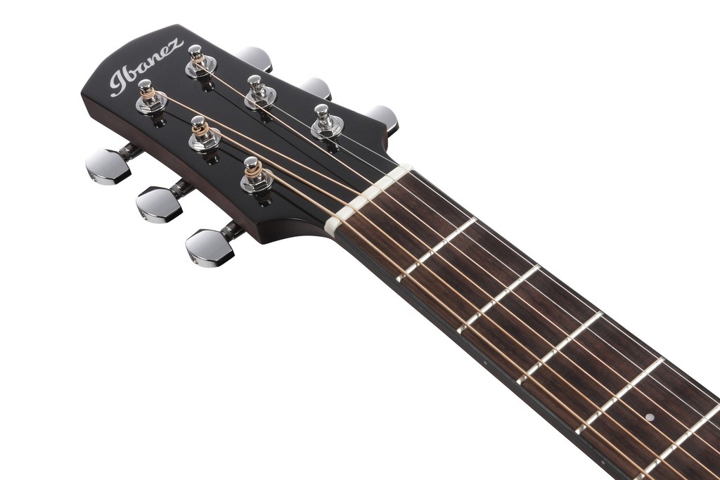 Ibanez AAM300CE-NT 