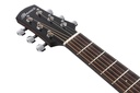 Ibanez AAM300CE-NT 