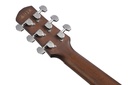 Ibanez AAM300CE-NT 