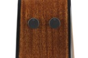 Ibanez AAM300CE-NT 