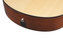 Ibanez AAM300CE-NT 