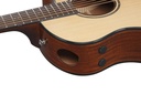 Ibanez AAM300CE-NT 