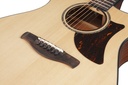 Ibanez AAM300CE-NT 