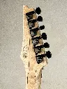jwz-6.webp