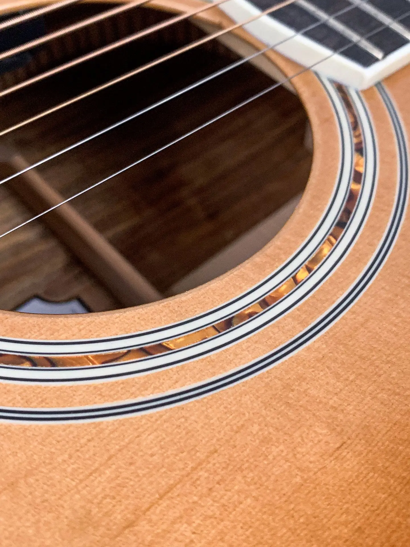https://www.thestring.nl/web/image/product.image/1875/image_1920/