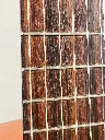 IMG_1610 2.webp