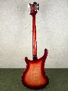 IMG_2064 2.webp