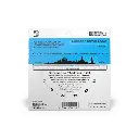 large (15).webp