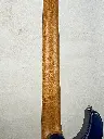 IMG_2504 2.webp