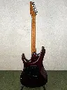 IMG_2514 2.webp