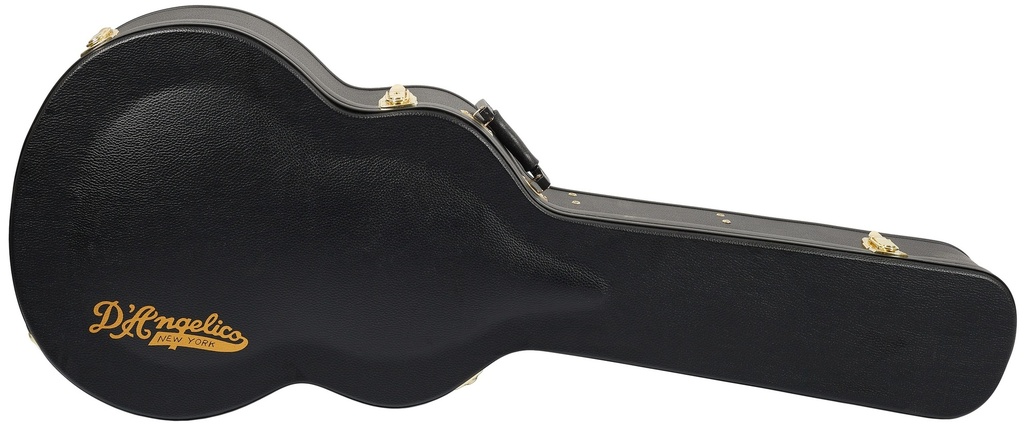D'Angelico Excel Style B Archtop with Case