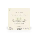 large - 2025-03-31T183055.967.webp