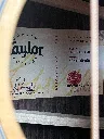 IMG_4716.webp