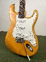IMG_6003.webp