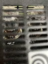 IMG_6635.webp