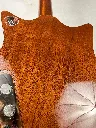 IMG_6922.webp