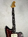 IMG_7008.webp