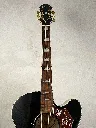 IMG_7569.webp