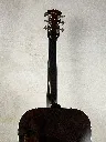 IMG_7864.webp
