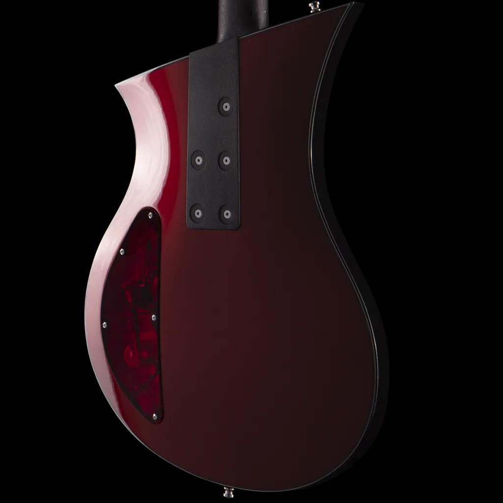 enTour 2026 Senez Guitar Psari - Body Back.webp