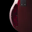 enTour 2026 Senez Guitar Psari - Back Cavity.webp