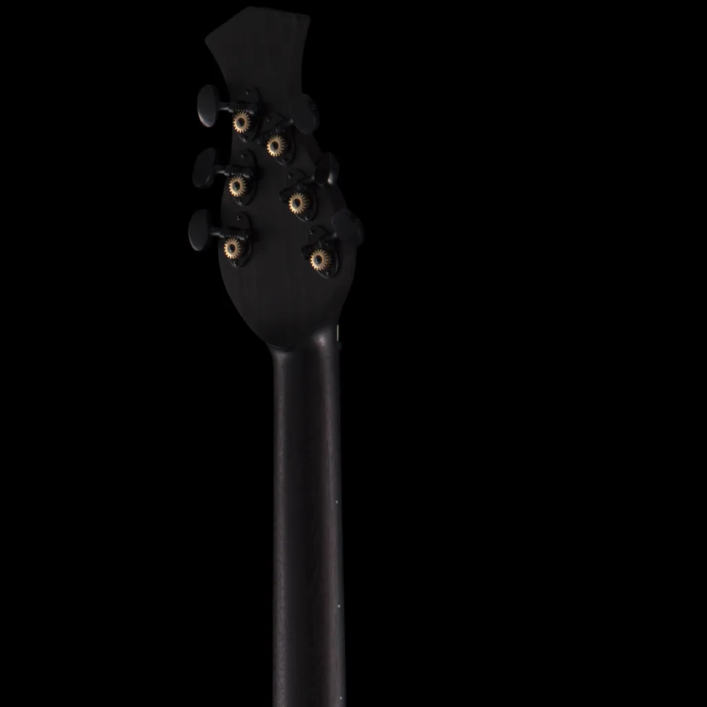 enTour 2026 Senez Guitar Psari - Headstock Back.webp