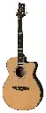 SE A40E_3quarter.webp