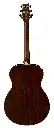 SE T40E Tobacco Sunburst_back.webp