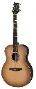 SE T40E Tobacco Sunburst_3quarter.webp