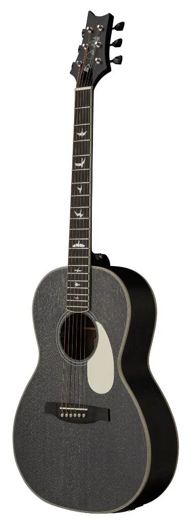 SE P20 Doghair (Gloss)_3quarter.webp