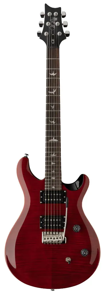 SE CE 24 Black Cherry (1).webp