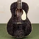 PRS SE P20E Satin Mahogany