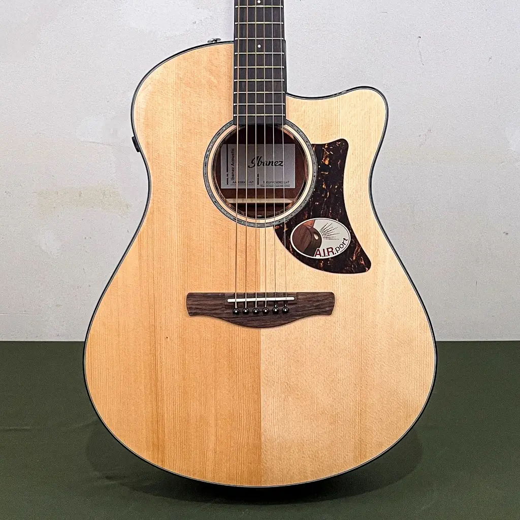 Ibanez AAM300CE-NT 