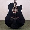 Ibanez AAM340CE-RUB