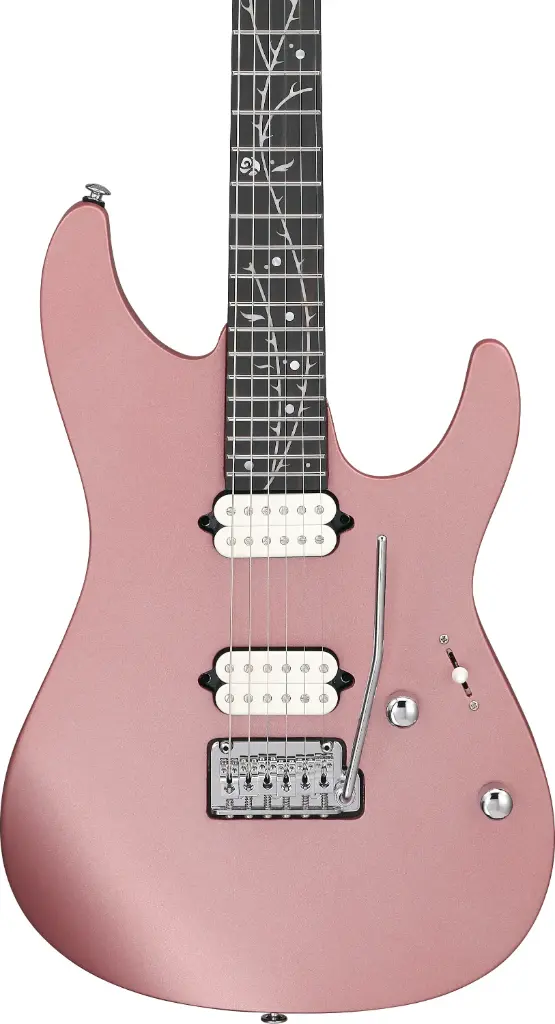Ibanez TOD10-MM