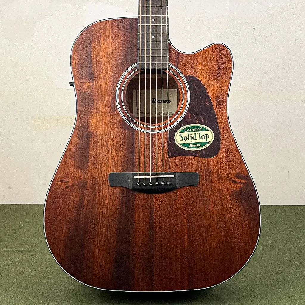 Ibanez AW54CE OPN