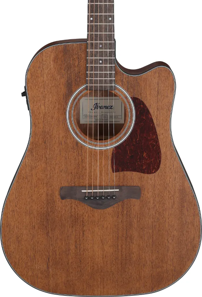 Ibanez AW54CE OPN