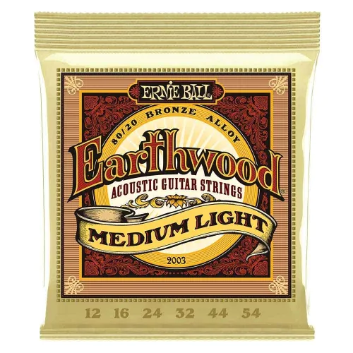 Ernie Ball Earthwood 80/20 12-54