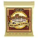 Ernie Ball Earthwood 80/20 12-54