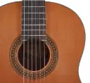 Salvador Cortez CC-10 JR 3/4 klassieke gitaar