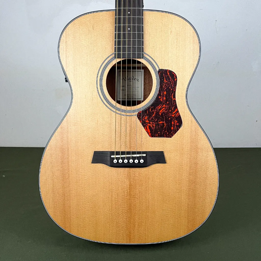 Walden O550E Orchestra Model