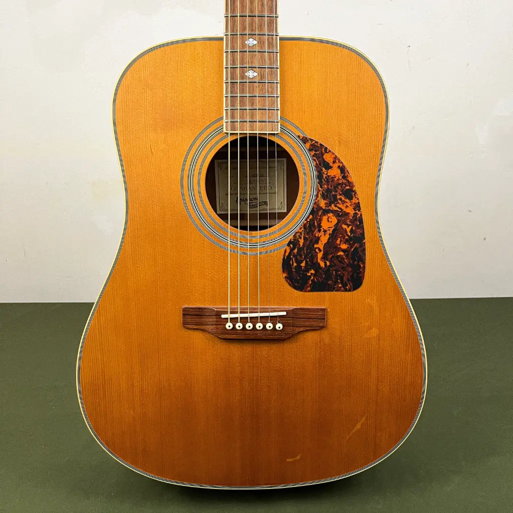 Epiphone Masterbilt DR-500M NS Dreadnought 2010
