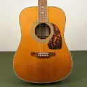 Epiphone Masterbilt DR-500M NS Dreadnought 2010