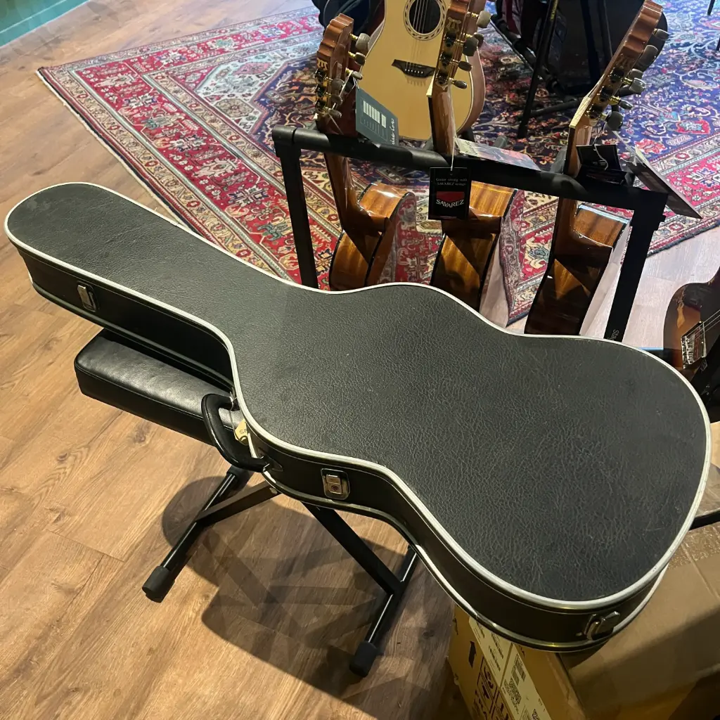 Vintage Telecaster Case Silver