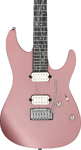[TOD10-MM] Ibanez TOD10-MM